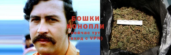 PSILOCYBIN Беломорск