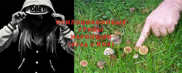 метадон Коряжма
