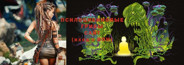 метадон Коряжма