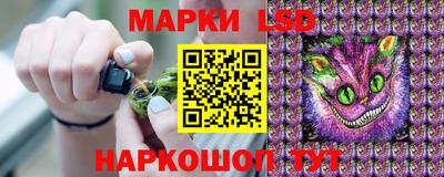меф Гатчина