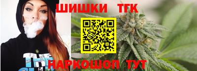 меф Гатчина