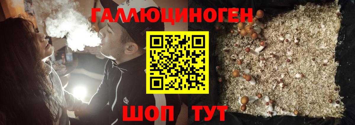 Галлюциногенные грибы Psilocybe  Вход с VPN  Киров 