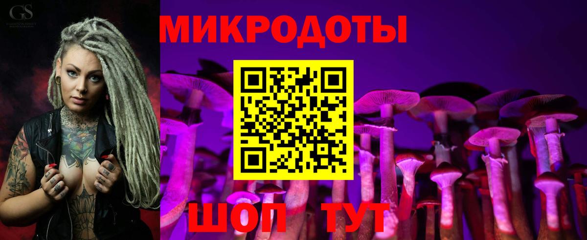 Галлюциногенные грибы Cubensis  Киров  Псилоцибиновые грибы Psilocybine cubensis 