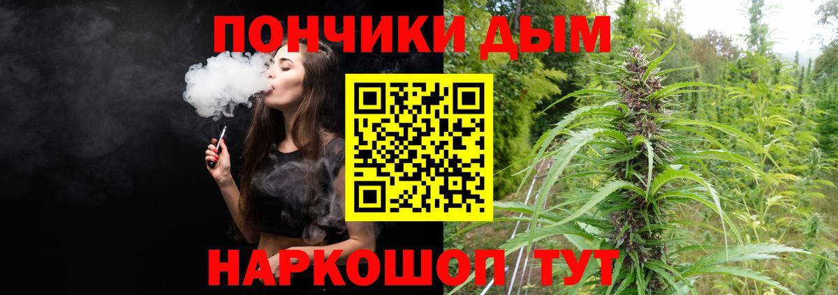 Шишки марихуана конопля  Вход с VPN  Марихуана тримм  Киров  Шишки марихуана ГИДРОПОН  Канабис SATIVA & INDICA 